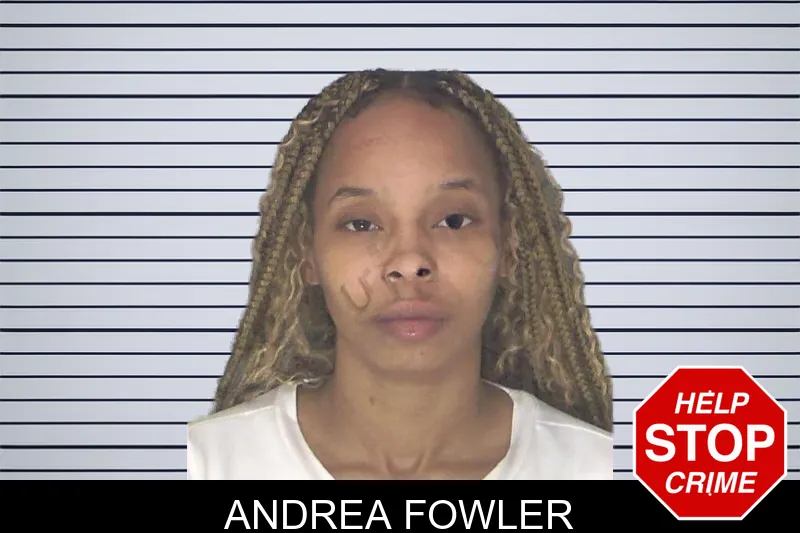 Andrea Fowler mugshot – Douglas County , Georgia Andrea Fowler mugshot