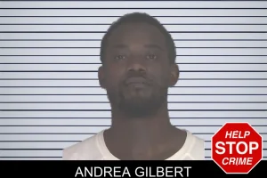 Andrea Gilbert mugshot