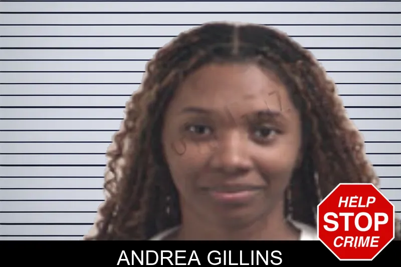 Andrea Gillins mugshot – Henry County , Georgia Andrea Gillins mugshot