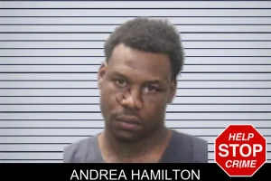 Andrea Hamilton mugshot