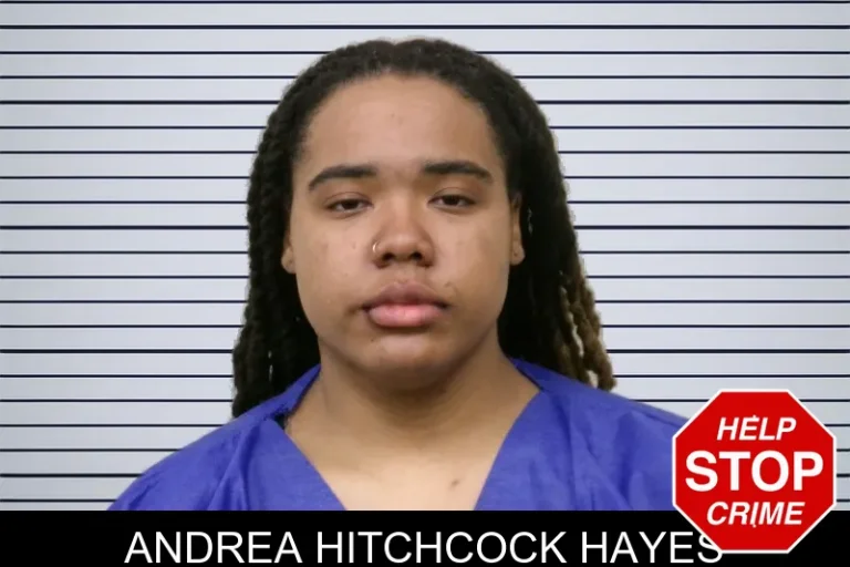 Andrea Hitchcock Hayes mugshot – Bulloch County , Georgia Andrea Hitchcock Hayes