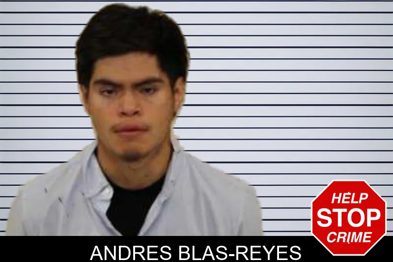 Andres Blas-Reyes mugshot – Peach County , Georgia Andres Blas-Reyes mugshot