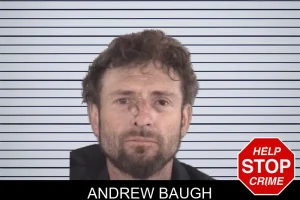 Andrew Baugh mugshot