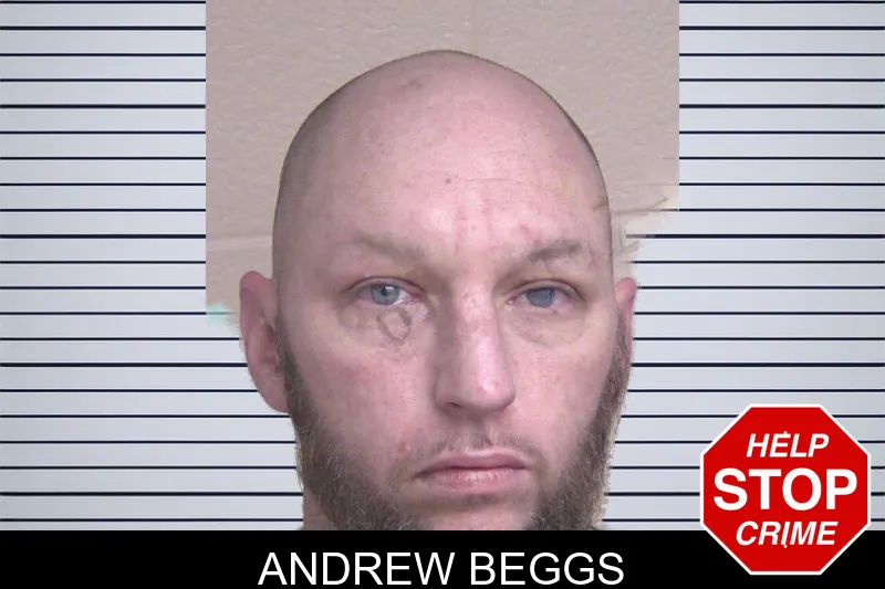 Andrew Beggs mugshot