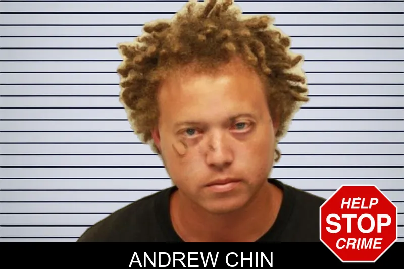 Andrew Chin mugshot