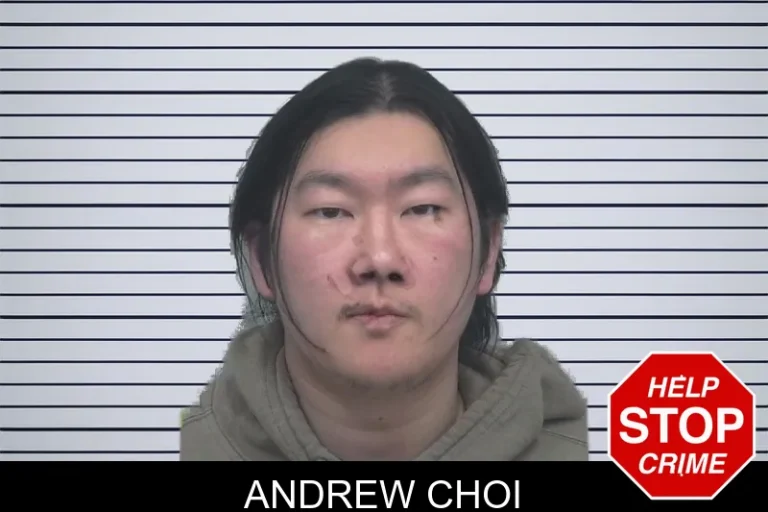 Andrew Choi mugshot – Gwinnett County , Georgia Andrew Choi