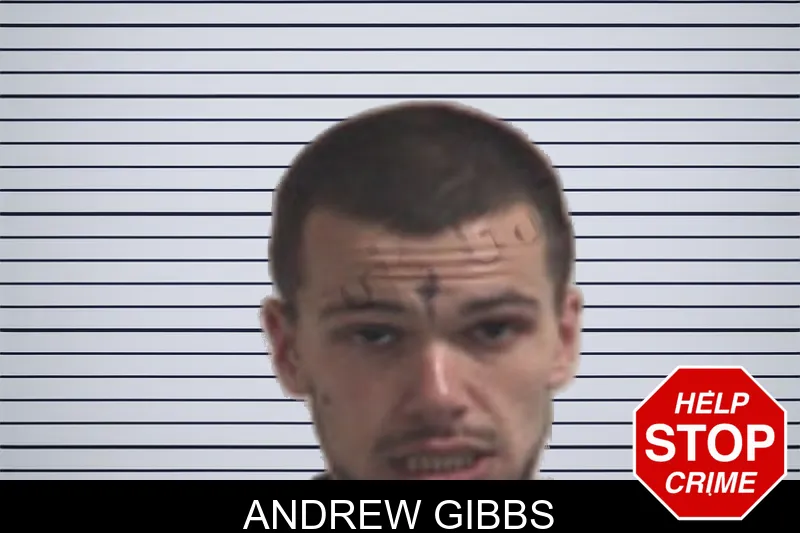 Andrew Gibbs mugshot
