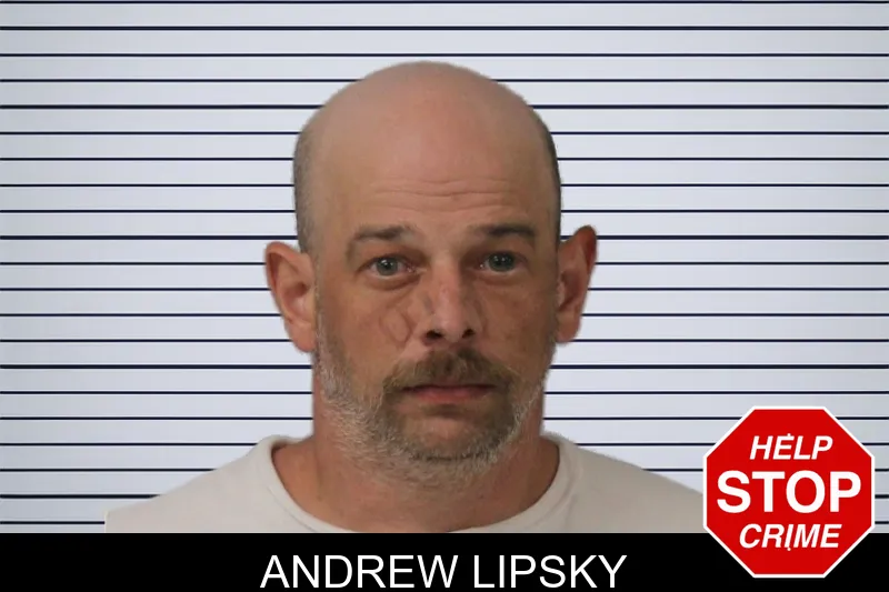 Andrew Lipsky mugshot – Mcintosh County , Georgia Andrew Lipsky mugshot