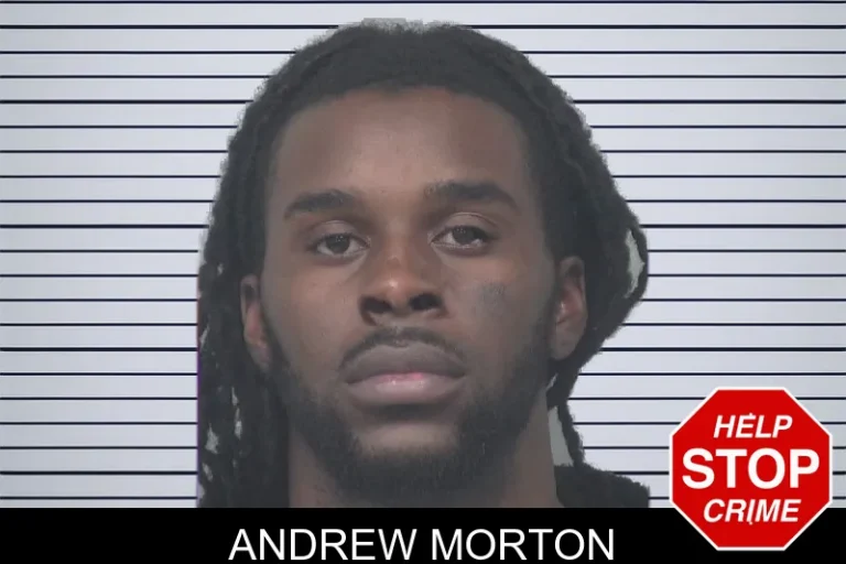 Andrew Morton