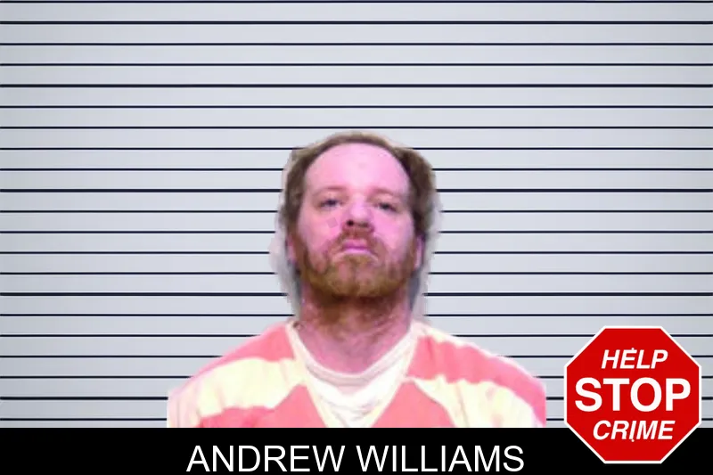 Andrew Williams mugshot
