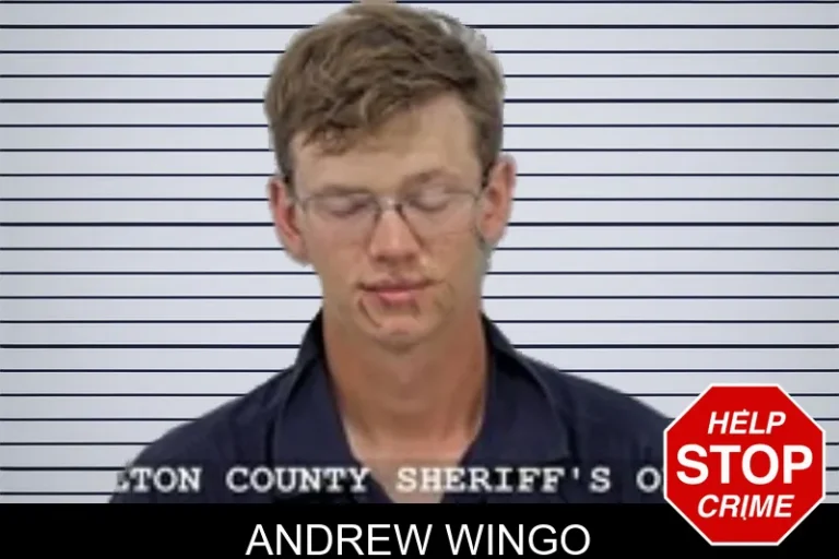 Andrew Wingo