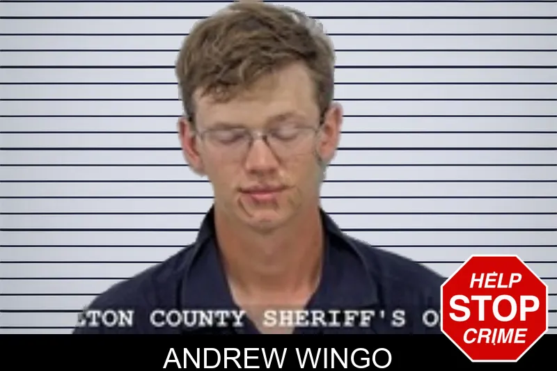 Andrew Wingo mugshot