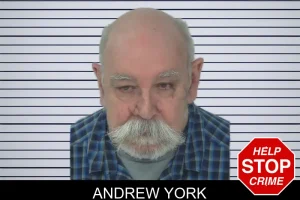 Andrew York mugshot