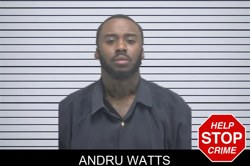 Andru Watts mugshot