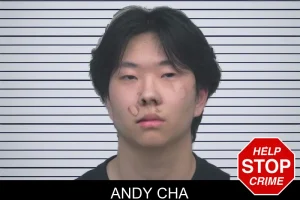 Andy Cha mugshot