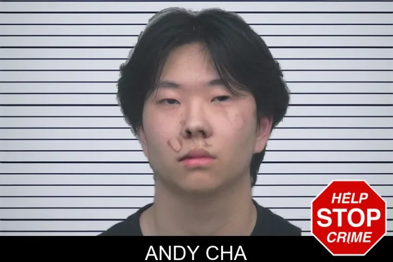 Andy Cha