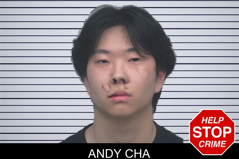 Andy Cha mugshot
