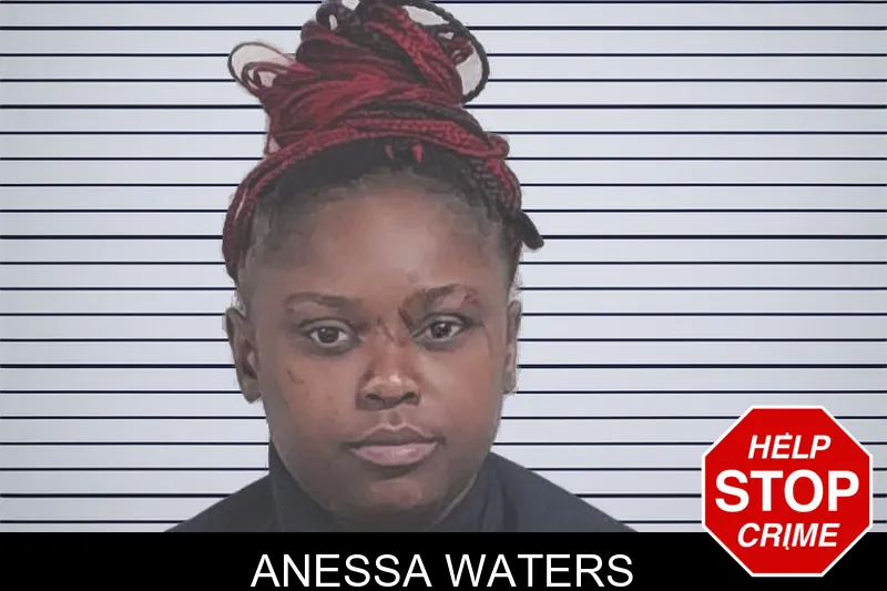 Anessa Waters mugshot
