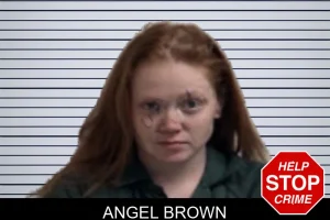 Angel Brown mugshot
