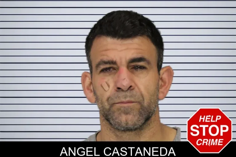 Angel Castaneda mugshot – Chatham County , Georgia Angel Castaneda