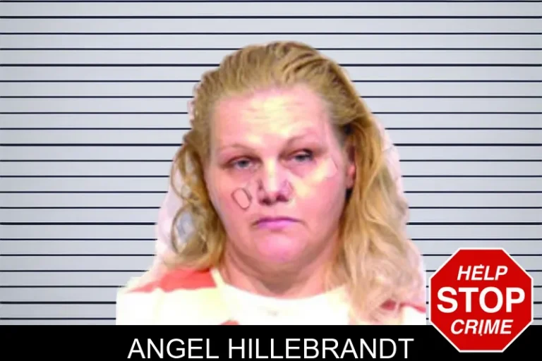 Angel Hillebrandt mugshot – Bartow County , Georgia Angel Hillebrandt