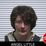 Angel Little mugshot