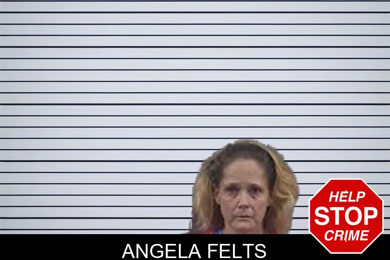 Angela Felts mugshot