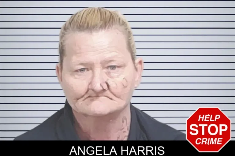 Angela Harris