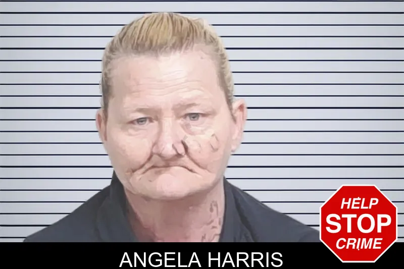Angela Harris mugshot