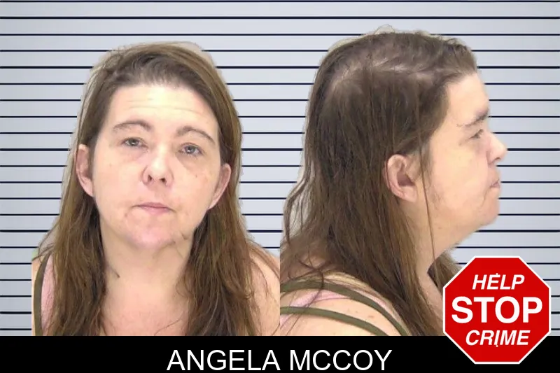 Angela McCoy mugshot – Richmond County , Georgia Angela McCoy mugshot