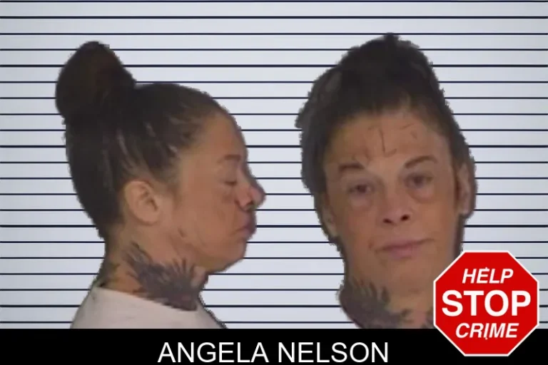 Angela Nelson mugshot – Barrow County , Georgia Angela Nelson