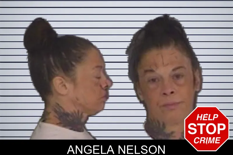 Angela Nelson mugshot