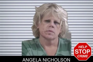 Angela Nicholson mugshot