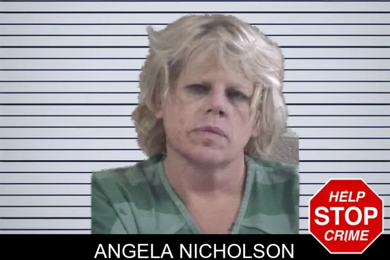 Angela Nicholson mugshot – Whitfield County , Georgia Angela Nicholson