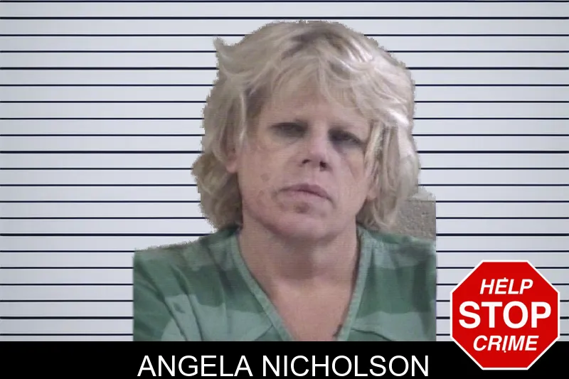 Angela Nicholson mugshot