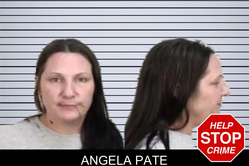 Angela Pate mugshot – Camden County , Georgia Angela Pate mugshot