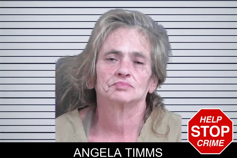 Angela Timms mugshot