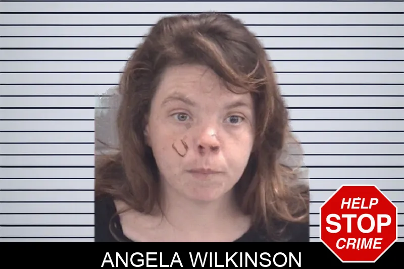 Angela Wilkinson mugshot