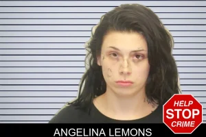 Angelina Lemons mugshot