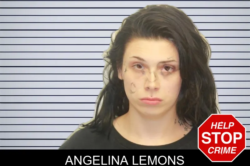 Angelina Lemons mugshot – Chatham County , Georgia Angelina Lemons mugshot
