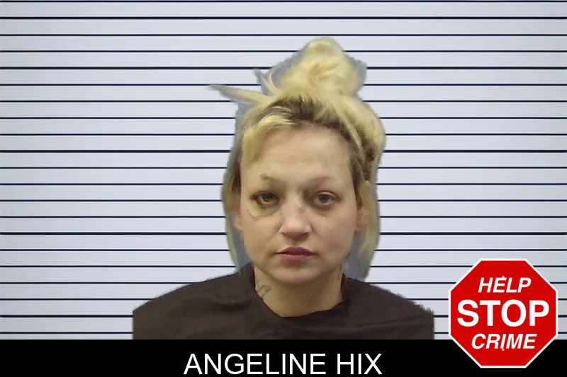 Angeline Hix mugshot