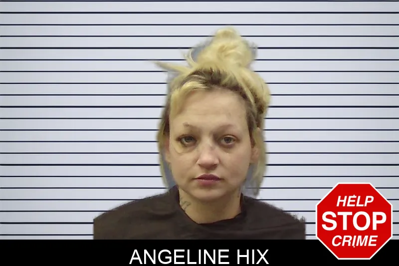Angeline Hix mugshot