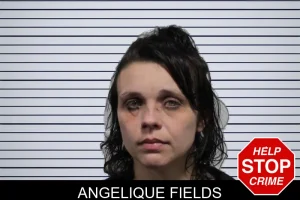 Angelique Fields mugshot