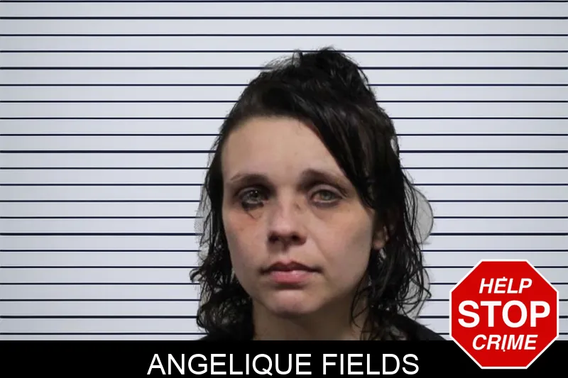 Angelique Fields mugshot