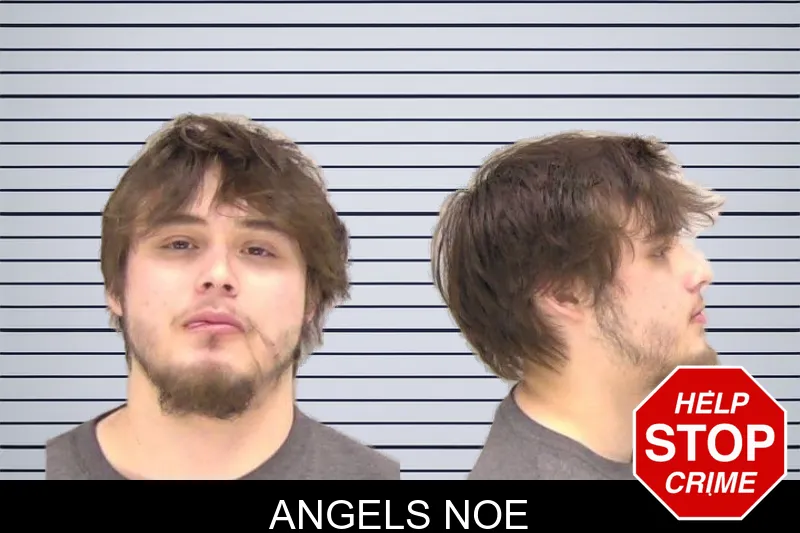 Angels Noe mugshot – Richmond County , Georgia Angels Noe mugshot