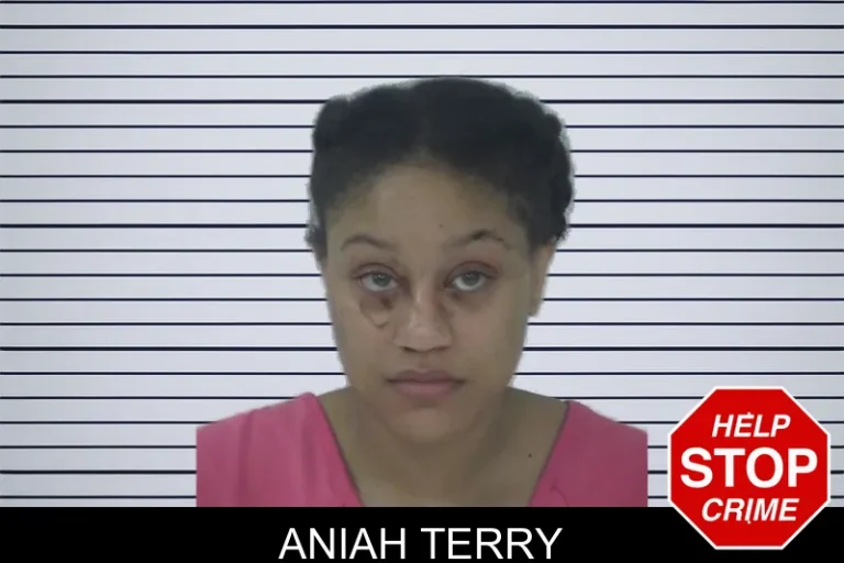 Aniah Terry mugshot – Fayette County , Georgia Aniah Terry