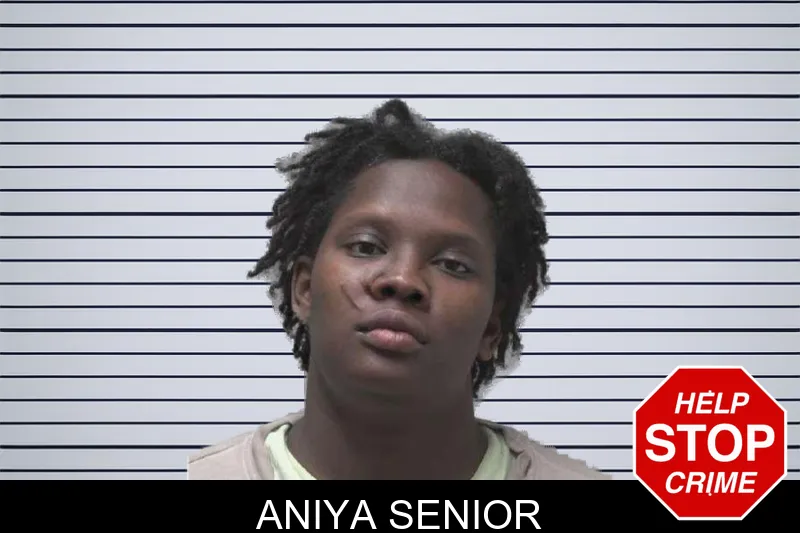 Aniya Senior mugshot – Coweta County , Georgia Aniya Senior mugshot