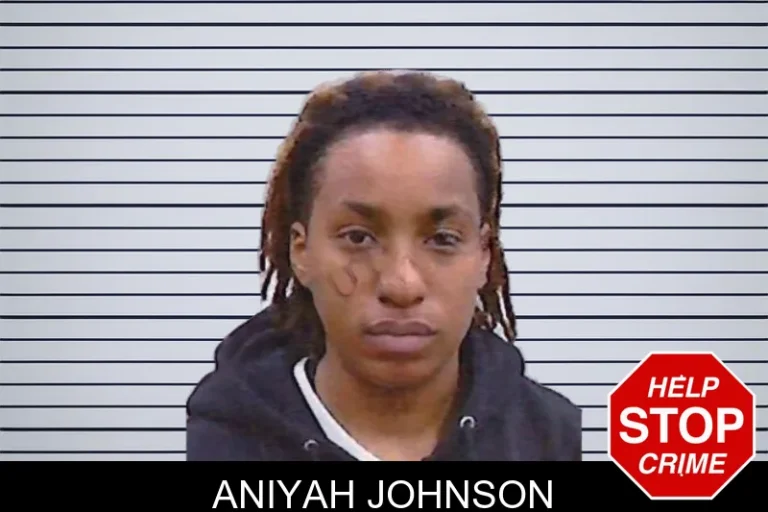 Aniyah Johnson mugshot β Screven County , Georgia Aniyah Johnson