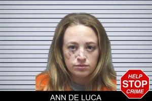 Ann De Luca mugshot