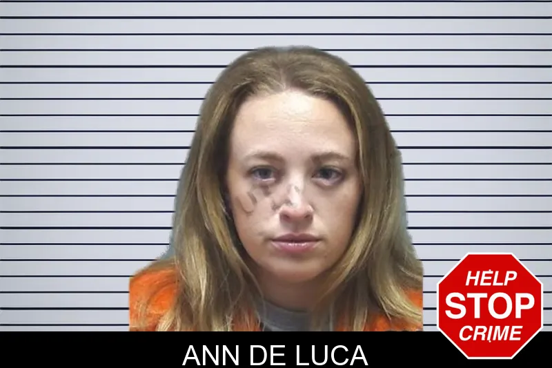 Ann De Luca mugshot